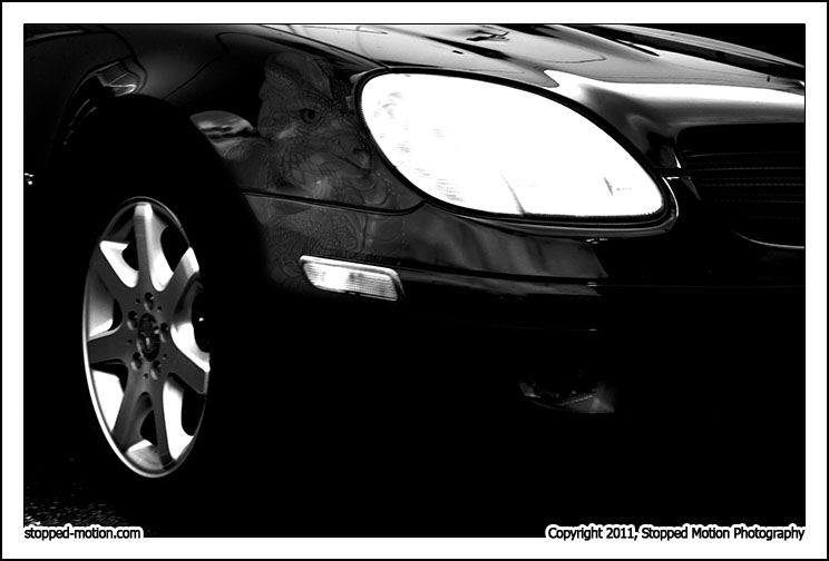 Copyright null, Stopped Motion Photography. www.stopped-motion.com